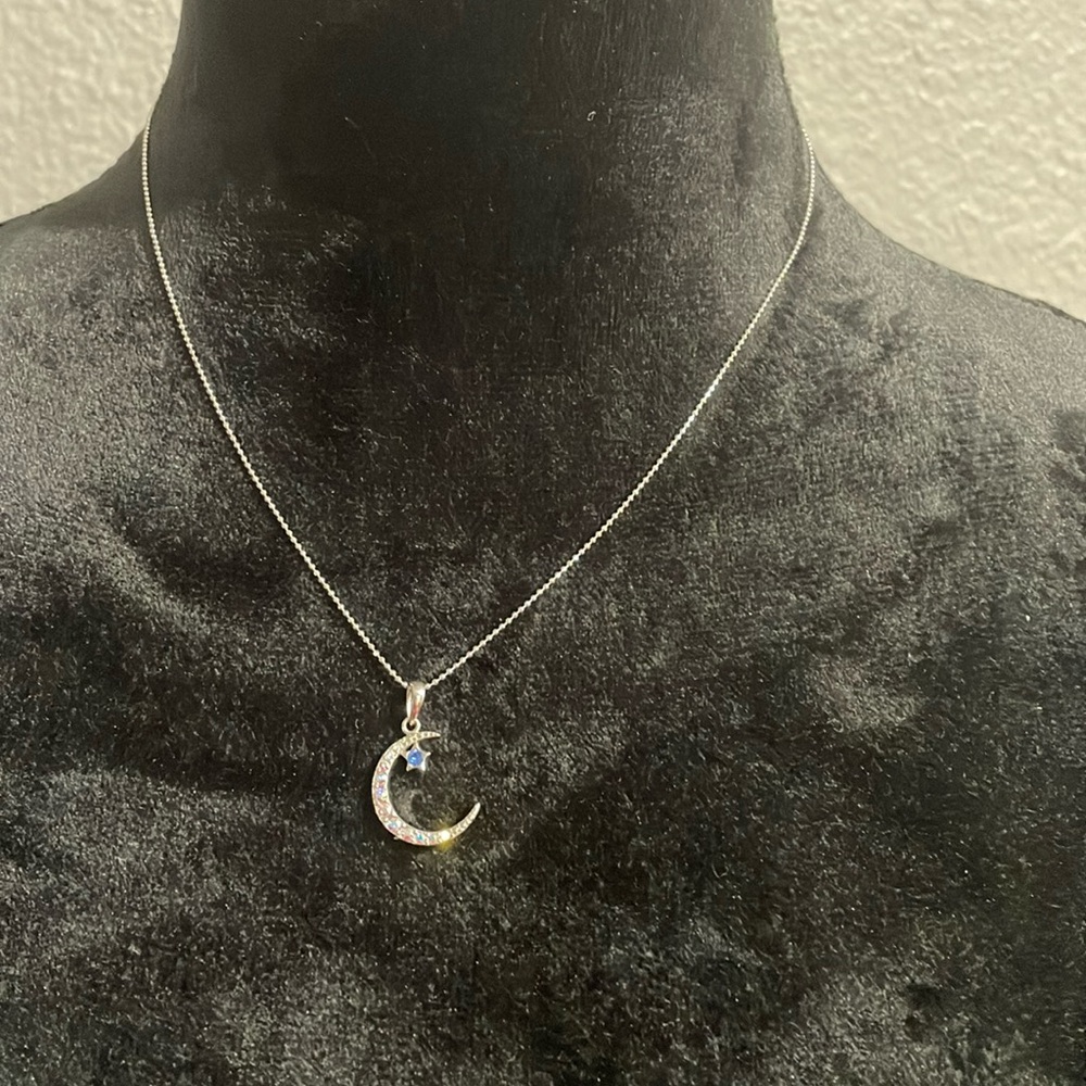 Stealing silver necklace